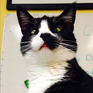 Meet your Posher, Beth